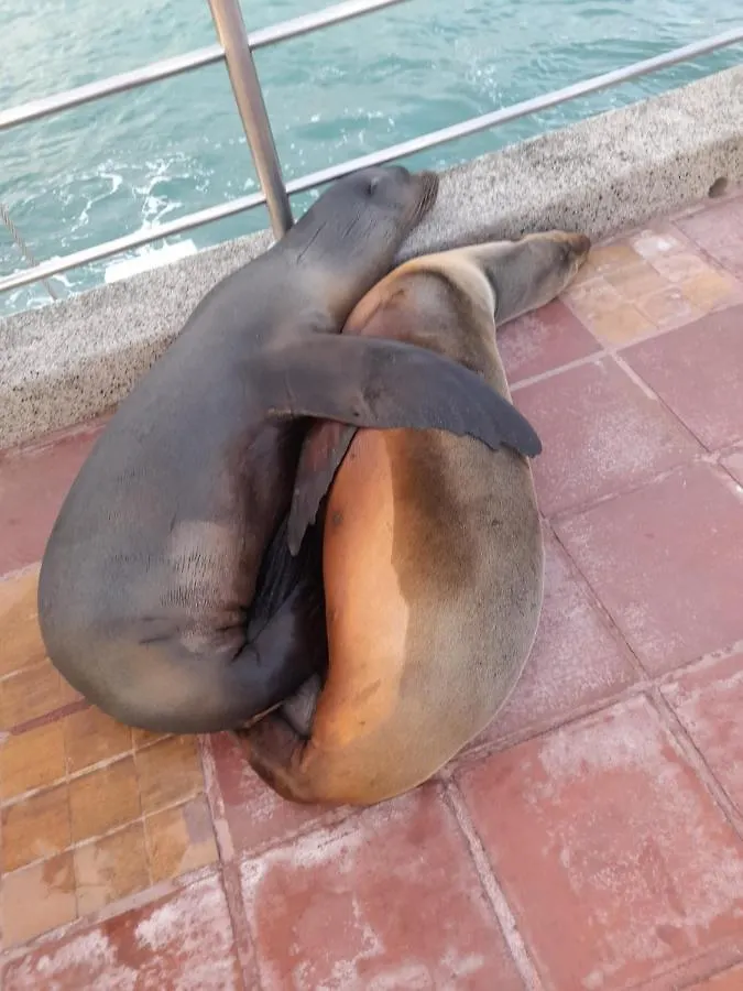 El Paraiso Puerto Ayora  Ecuador