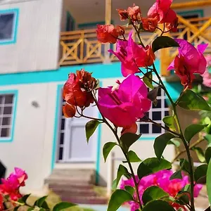 bnb-colorful-garden-house.sanandreshotels.com/